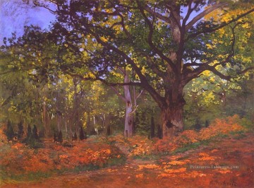  claude - Le Chêne Bodmer Fontainebleau Claude Monet